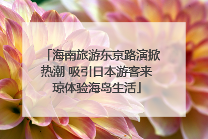 海南旅游东京路演掀热潮 吸引日本游客来琼体验海岛生活