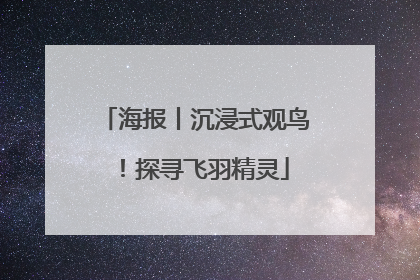 海报丨沉浸式观鸟！探寻飞羽精灵