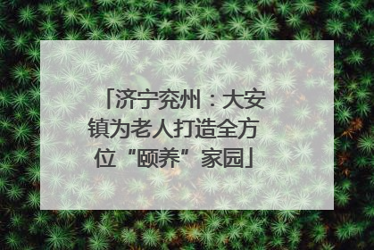 济宁兖州：大安镇为老人打造全方位“颐养”家园