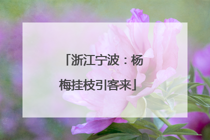 浙江宁波：杨梅挂枝引客来