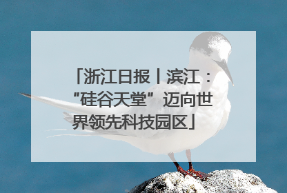 浙江日报丨滨江：“硅谷天堂”迈向世界领先科技园区
