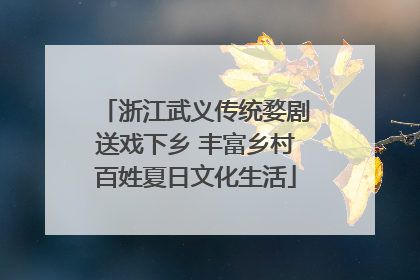 浙江武义传统婺剧送戏下乡 丰富乡村百姓夏日文化生活