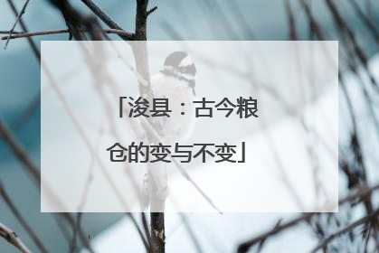 浚县：古今粮仓的变与不变