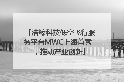 浩鲸科技低空飞行服务平台MWC上海首秀，推动产业创新