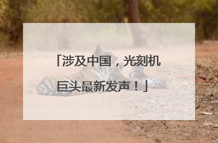涉及中国，光刻机巨头最新发声！