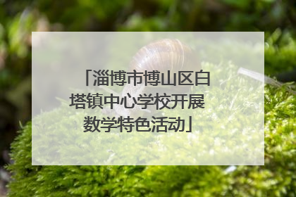 淄博市博山区白塔镇中心学校开展数学特色活动