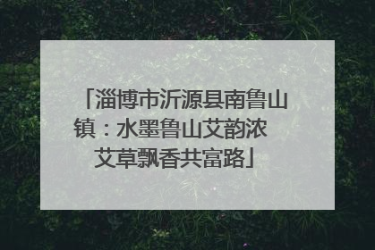 淄博市沂源县南鲁山镇：水墨鲁山艾韵浓 艾草飘香共富路