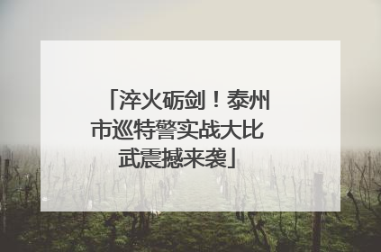 淬火砺剑！泰州市巡特警实战大比武震撼来袭
