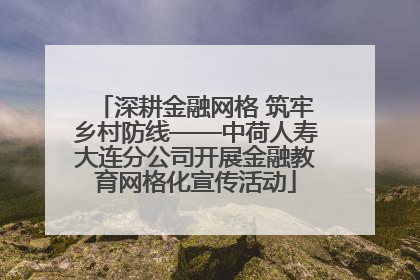 深耕金融网格 筑牢乡村防线——中荷人寿大连分公司开展金融教育网格化宣传活动