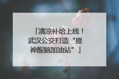 清凉补给上线！武汉公交打造“提神醒脑加油站”