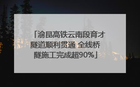 渝昆高铁云南段育才隧道顺利贯通 全线桥隧施工完成超90%