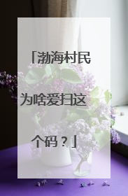 渤海村民为啥爱扫这个码？