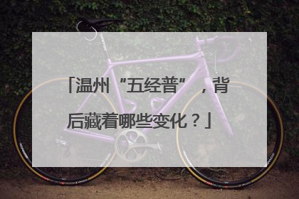 温州“五经普”，背后藏着哪些变化？
