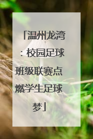 温州龙湾：校园足球班级联赛点燃学生足球梦