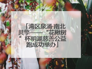 湾区泉涌·南北共擎——“花楸树”杯明湖慈善公益跑成功举办