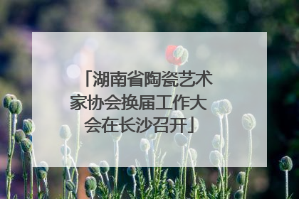 湖南省陶瓷艺术家协会换届工作大会在长沙召开