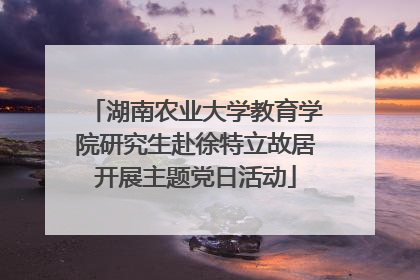 湖南农业大学教育学院研究生赴徐特立故居开展主题党日活动