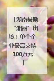 湖南鼓励“湘品”出境！单个企业最高支持100万元