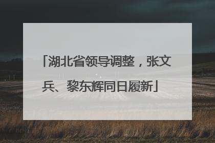 湖北省领导调整，张文兵、黎东辉同日履新