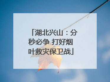 湖北兴山：分秒必争 打好烟叶救灾保卫战