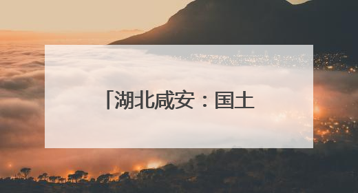 湖北咸安：国土综合整治助力打造现代农业高地