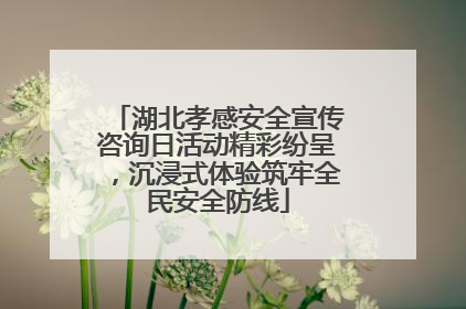 湖北孝感安全宣传咨询日活动精彩纷呈，沉浸式体验筑牢全民安全防线