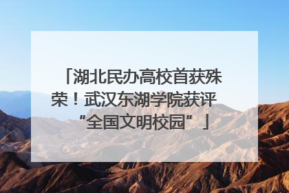湖北民办高校首获殊荣！武汉东湖学院获评“全国文明校园”