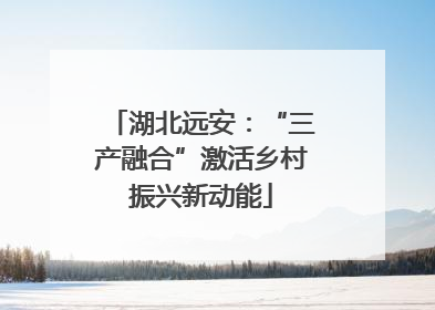湖北远安：“三产融合”激活乡村振兴新动能