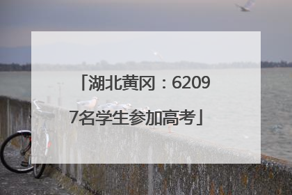 湖北黄冈：62097名学生参加高考
