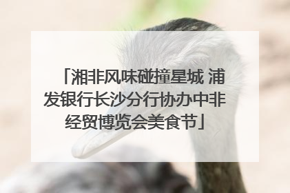 湘非风味碰撞星城 浦发银行长沙分行协办中非经贸博览会美食节