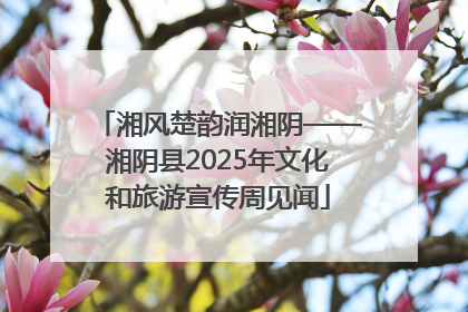 湘风楚韵润湘阴——湘阴县2025年文化和旅游宣传周见闻