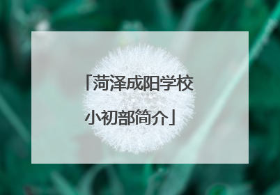 菏泽成阳学校小初部简介