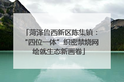 菏泽鲁西新区陈集镇：“四位一体”织密禁烧网 绘就生态新画卷