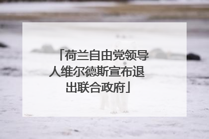 荷兰自由党领导人维尔德斯宣布退出联合政府