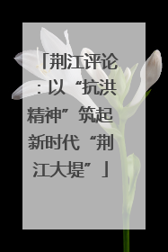 荆江评论：以“抗洪精神”筑起新时代“荆江大堤”