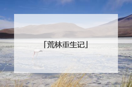 荒林重生记