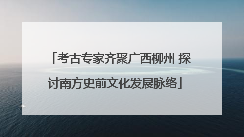 考古专家齐聚广西柳州 探讨南方史前文化发展脉络