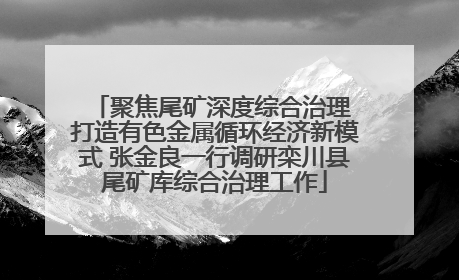 聚焦尾矿深度综合治理 打造有色金属循环经济新模式 张金良一行调研栾川县尾矿库综合治理工作