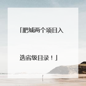 肥城两个项目入选省级目录!