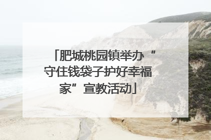 肥城桃园镇举办“守住钱袋子护好幸福家”宣教活动