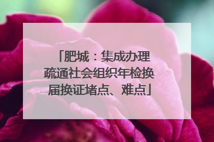 肥城：集成办理 疏通社会组织年检换届换证堵点、难点