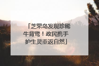 芝罘岛发现珍稀牛背鹭！政民携手护生灵重返自然