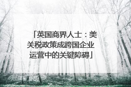 英国商界人士：美关税政策成跨国企业运营中的关键障碍