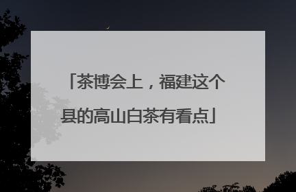 茶博会上，福建这个县的高山白茶有看点