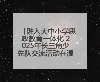 融入大中小学思政教育一体化 2025年长三角少先队交流活动在温岭举办