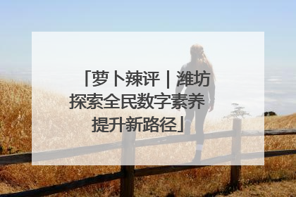 萝卜辣评｜潍坊探索全民数字素养提升新路径