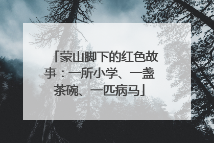 蒙山脚下的红色故事：一所小学、一盏茶碗、一匹病马