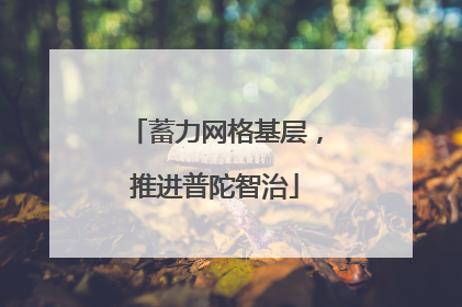 蓄力网格基层，推进普陀智治