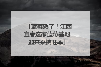 蓝莓熟了！江西宜春这家蓝莓基地迎来采摘旺季