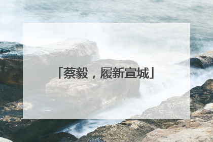 蔡毅，履新宣城
